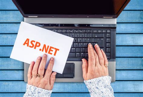 Why Use ASP NET For Your Next Web Development Project The Software Point
