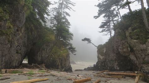 A Small Natural Sea Arch In The Fog On A Sandy Beach Of Cape Scott