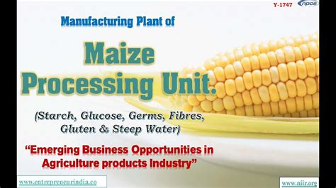 Manufacturing Plant Of Maize Processing Unit Starch Glucose Germs