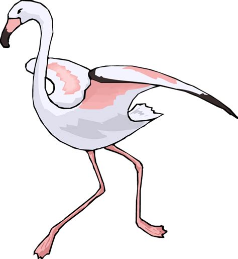 Free Flamingo Clipart