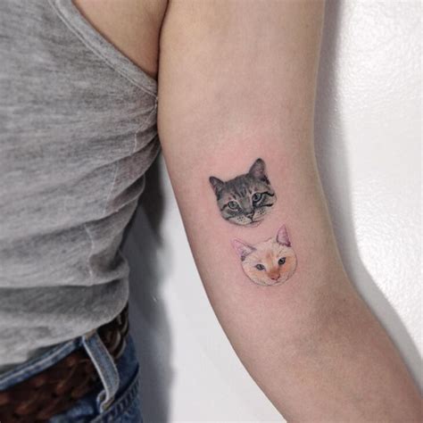 Tatuagem De Gato 85 Ideias Para Se Apaixonar E Se Inspirar