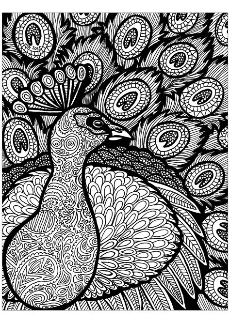 Discover various zentangle drawings to print and color, for children of all ages. Lines of the peacock - Zentangle Adult Coloring Pages