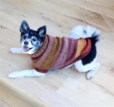 Lion Brand Proud Puppy Dog Sweater Knitting Kit Yarn Shop Dog