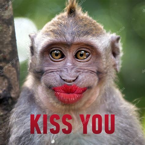 Funny Kiss Lips Images Best Funny Images