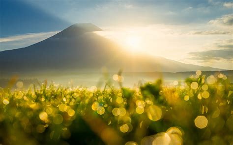 Wallpaper Mountain Sun Rays Sunrise Grass Dew Flare Bokeh