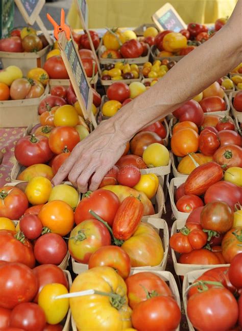 Buying Tomatoes At The Farmers Market Stock Photo Image Of Food Hand