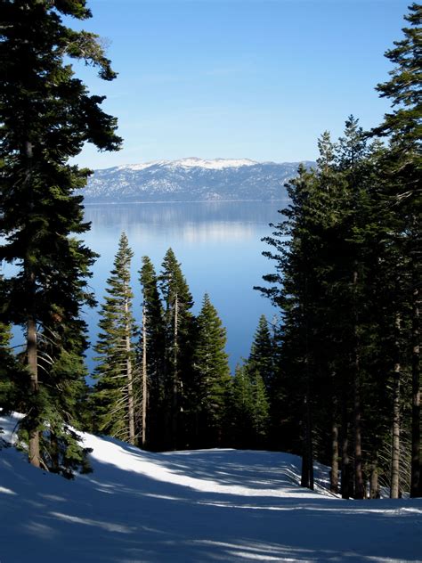 Beautiful Blue Sky Day At Homewood Last Year Lake Tahoe