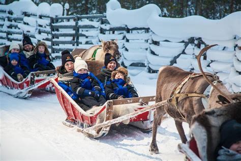Lapland Reindeer Safari From Rovaniemi 2024 Viator