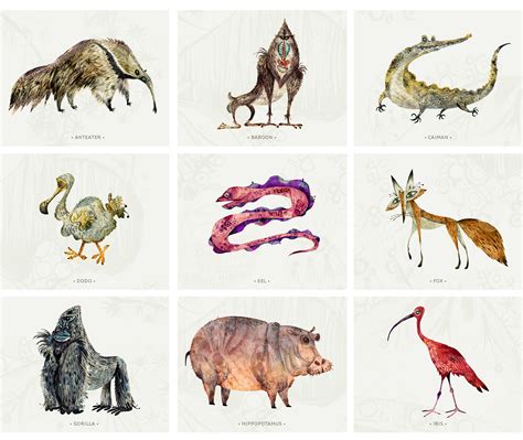Animals Illustrations On Behance