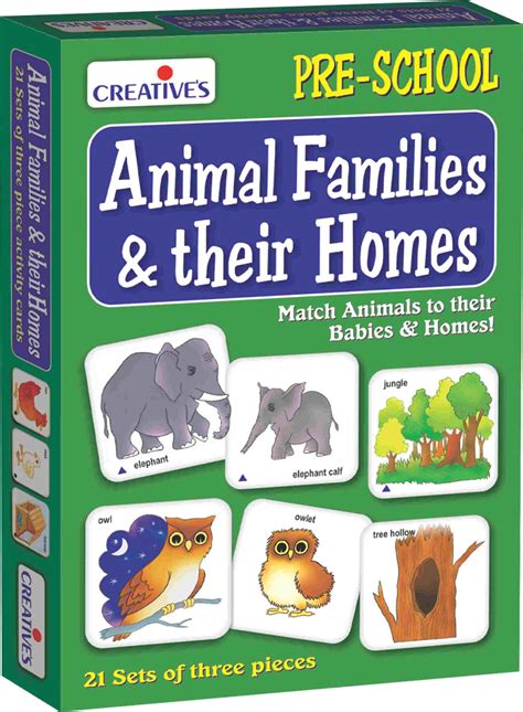 Buy Creative's for kids Educational Aids - Animals Families and their