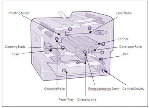 Laser Printer Diagram The Projector