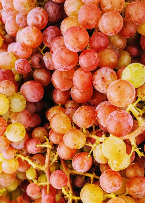 14 Proven Health Benefits Of Red Grapes Nutritional Value Artofit