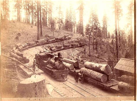 Early 1900s Logging Photos Mostly Tuolumne County Sierra Nevada