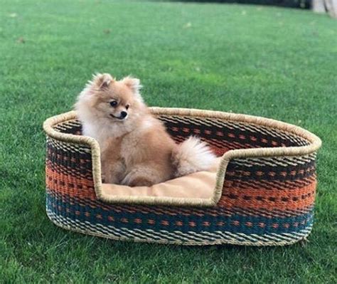 12 Beautiful Rattan Dog Beds For Australians 2023 Update
