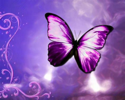 Purple Butterfly Wallpaper Purple Butterfly Hd Wallpaper Art Ideas