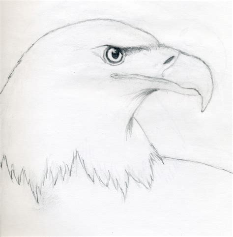 Drawing an eagle with dots for kids. Draw A Bald Eagle