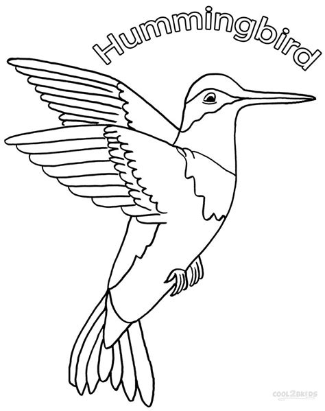 Printable Hummingbird Coloring Pages For Kids