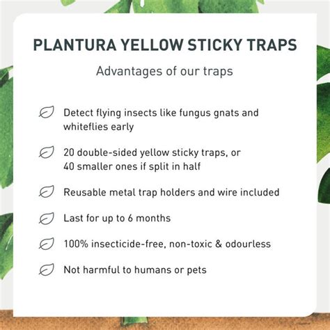 Yellow Sticky Traps Plantura Shop Plantura Uk