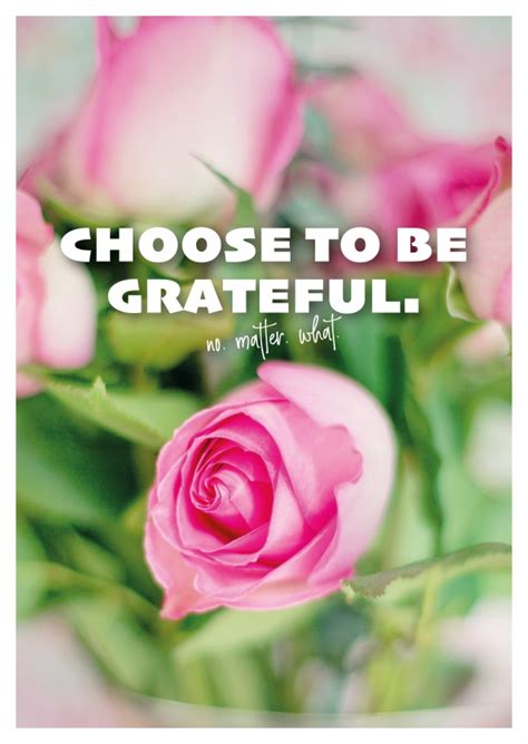 Choose To Be Grateful No Matter What Wisdom Sayings And Quotes Cards 💬💡