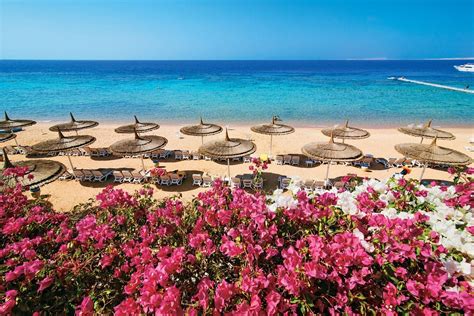 Sharm El Sheikh Veraclub Reef Oasis Beach Resort 9 16012021