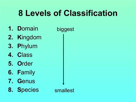 Levels Of Classification 2010