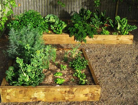 Great Ideas For Vegetable Garden Photospng Hi Res 720p Hd