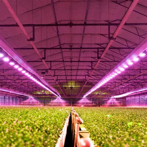 Lighting For Plant Growth Stages Agrowtronics Iiot For Growing