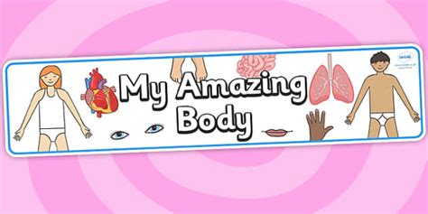 Free My Amazing Body Display Banner Teacher Made