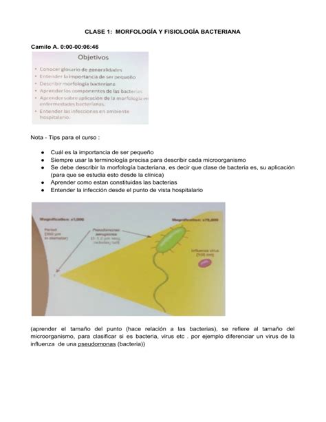 Clase 1 MorfologÍa Y FisiologÍa Bacteriana