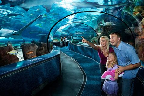 Things To Do With Kids In Myrtle Beach Myrtle Beach South Carolina