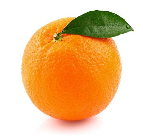 橙色水果图片 橙色水果在白色的背景下素材 高清图片 摄影照片 寻图免费打包下载