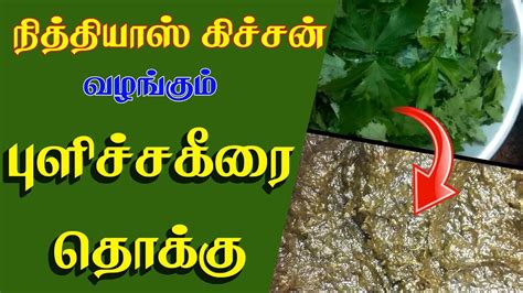 Names of pulicha keerai in different indian languages: Pulicha keerai Thokku Recipe | புளிச்ச கீரை தொக்கு - YouTube