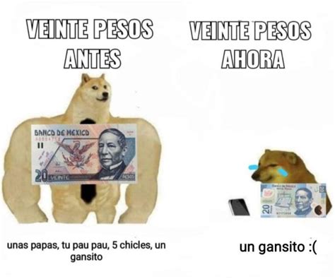 Doge Meme Vs Cheems Meme Perro Grande Perro Chico Memes En Español