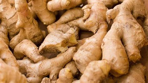 Ginger Know 25 Most Interesting Facts About This Medicinal Plant