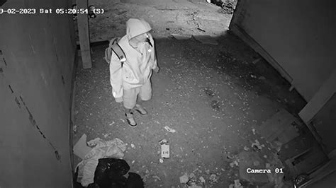 Sioux Lookout Opp Asking For Publics Help To Identify Break And Enterarson Suspect