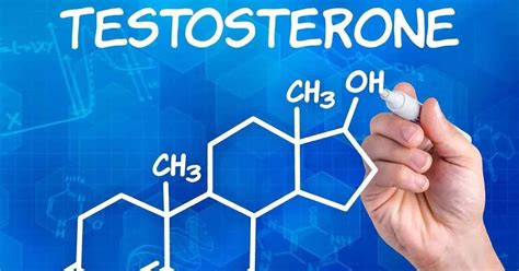 69 Ways To Increase Your Testosterone Levels Naturally First 20 Way