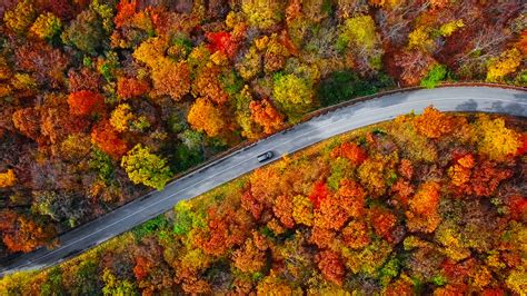 Which Fall Foliage Road Trip Is Right For You