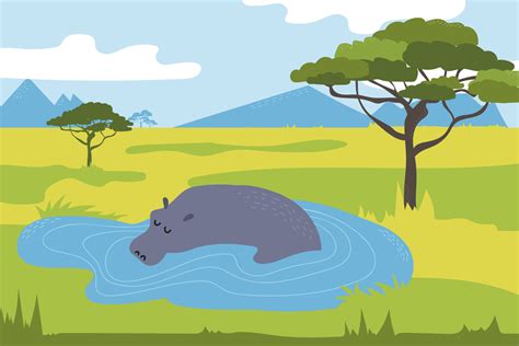 Hippo In The Savannah Hippo Swimming In The Lake Wild Animals Of