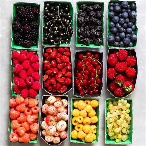 Different Fresh Berries Types Alphafoodie
