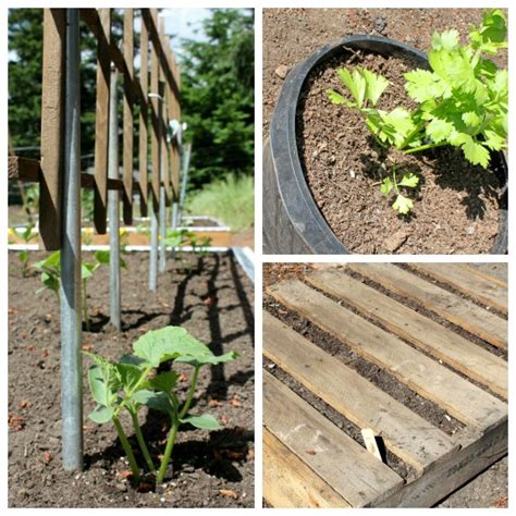 Growing Vegetables In The Pacific Nw Gardening