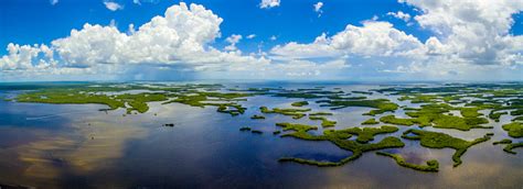 Ten Thousand Islands Np Aerial Fl Stock Photo Download Image Now