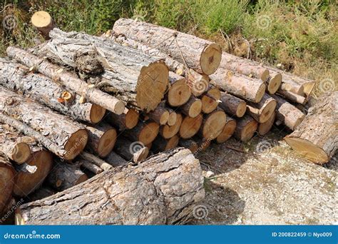 Piles Of Chopped Wood And Lumber At Small Sawmill On Farm Stock