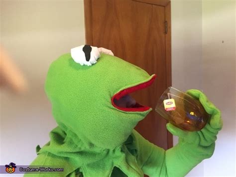 Kermit Meme Its None Of My Business Costume Photo 23