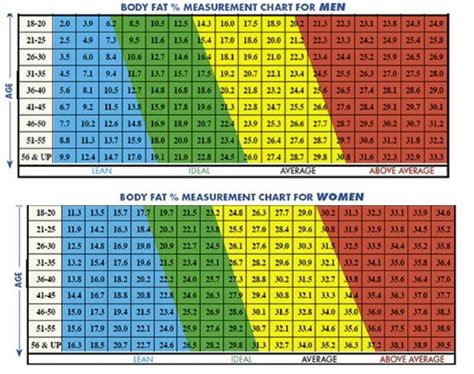 Calculate Body Fat Loss Percentage Weight You Better Watch Here Now