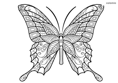 Dibujo De Mariposa Para Colorear