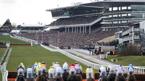 We have the largest selection of cheltenham races accommodation for the 2021 & 2022 seasons, from a room in a house, renting a whole house or a b&b. Big and getting bigger: Cheltenham Festival dominates top ...