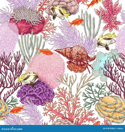Coral Reef And Fishes Pattern Stock Vector Illustration Of Nature