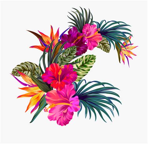 Tropical Flower Clipart Clip Art Library