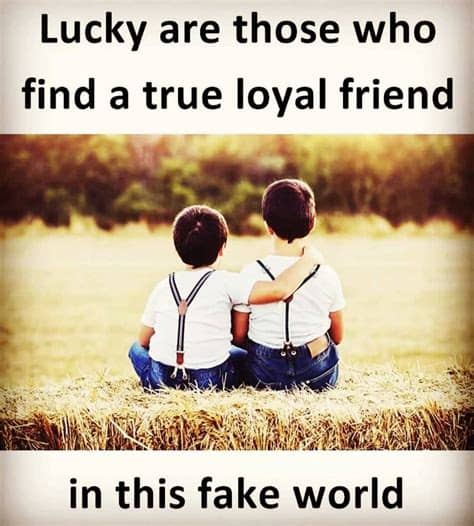 Here is the best collection of funny friendship day quotes, sayings, facebook and whatsapp status, and shayari. 100+ Beautiful Quotes Pictures - 1 Line Whatsapp Status ...