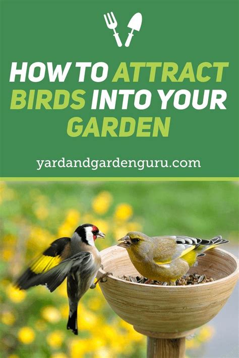 How To Attract Birds To Your Yard Artofit
